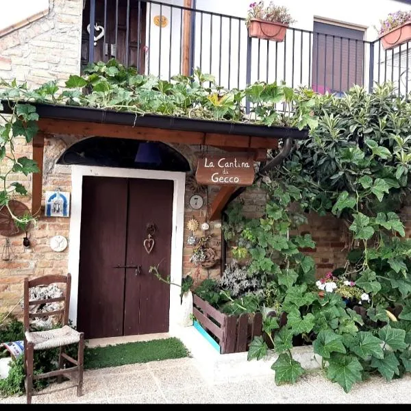 B&B La Casa in Campagna，位于Collecorvino的酒店