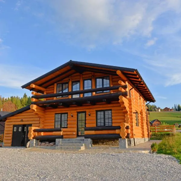 Casa Poligonului，位于瓦特拉多尔内的酒店
