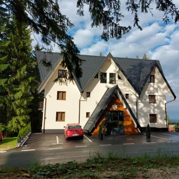 Vila ZLATARSKA PAHULJA，位于Kokin Brod的酒店