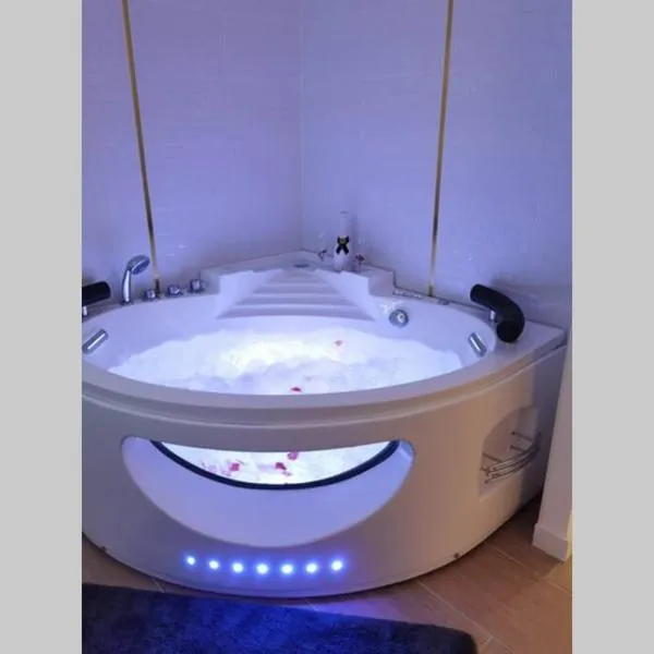 Nid d'amour baignoire/jacuzzi，位于尼斯的酒店