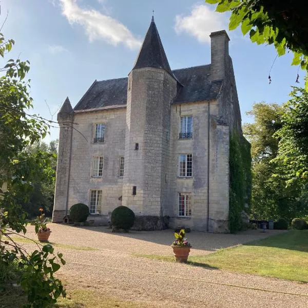 Château de Ré，位于Le Petit-Pressigny的酒店