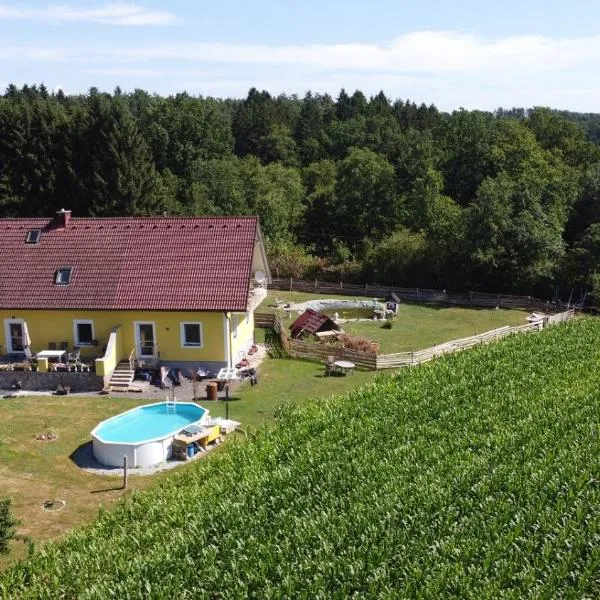 HAUS SONBERG mit Garten, Pool, Fasssauna, semi detached house with garden，位于Eibiswald的酒店