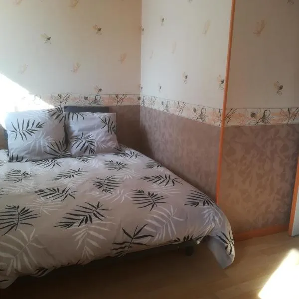 Chambre double avec WiFi châtellerault，位于沙泰勒罗的酒店