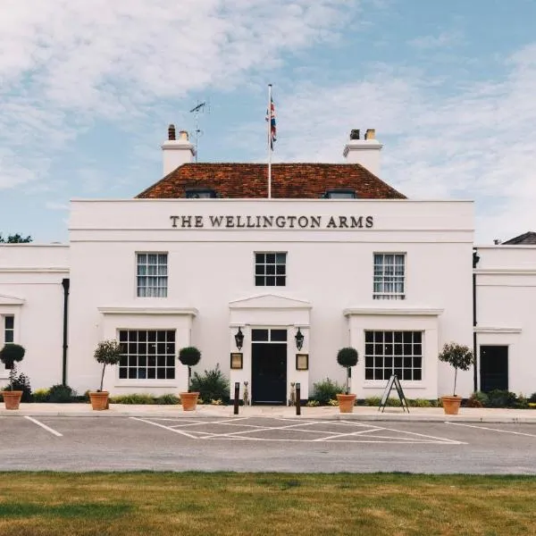 The Wellington Arms - Basingstoke-Reading，位于海科菲尔德的酒店