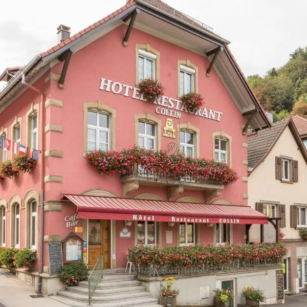 HOTEL RESTAURANT COLLIN，位于Ruederbach的酒店