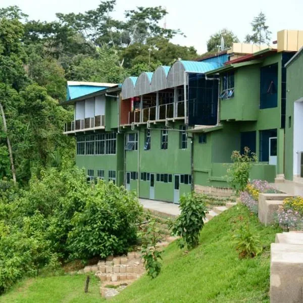 Chimpanzee Lodge，位于Rwumba的酒店
