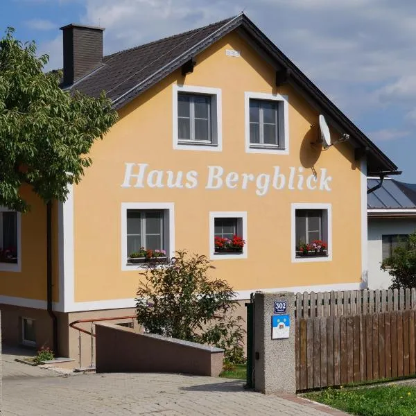 豪斯伯格博里克酒店，位于Miesenbach的酒店