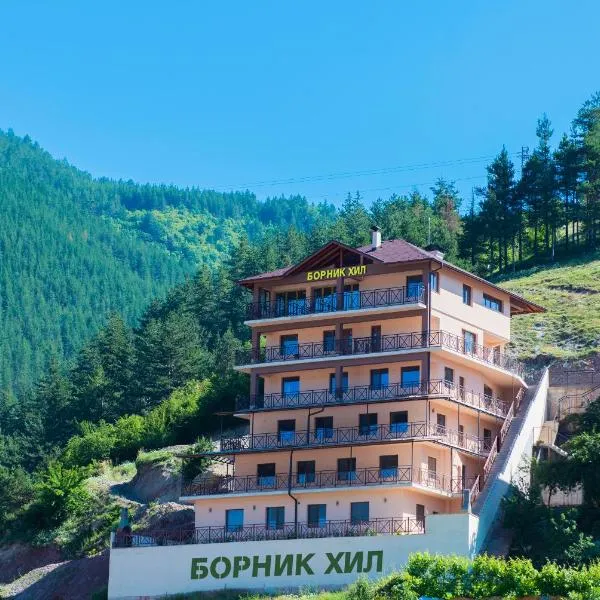 Борник Хил / Bornik Hill，位于特里格拉德的酒店