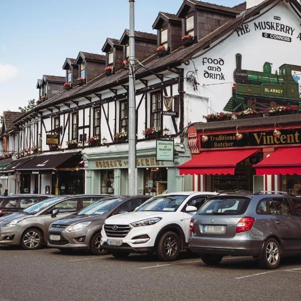 马斯克里阿姆斯住宿加早餐旅馆，位于Glantane的酒店