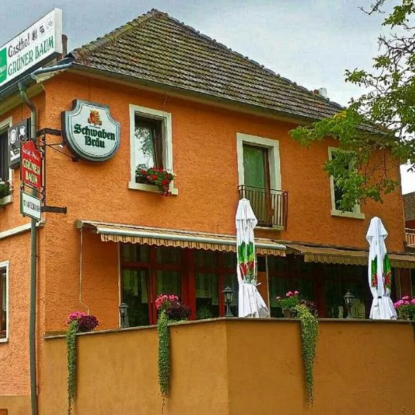 Grüner Baum，位于瓦尔德布伦的酒店