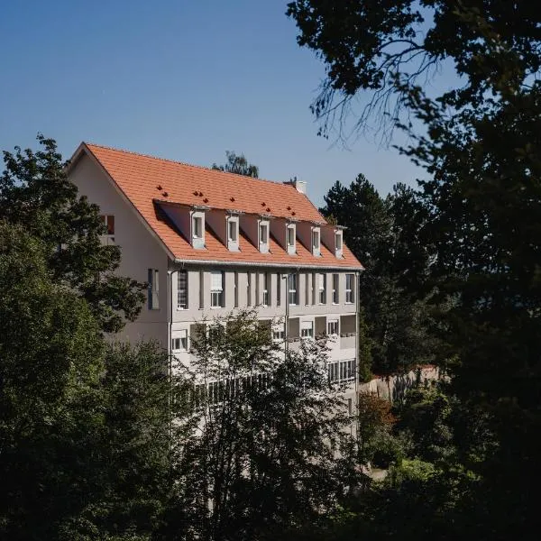 Maiers Johanniterbad Ringhotel Rottweil，位于Villingendorf的酒店