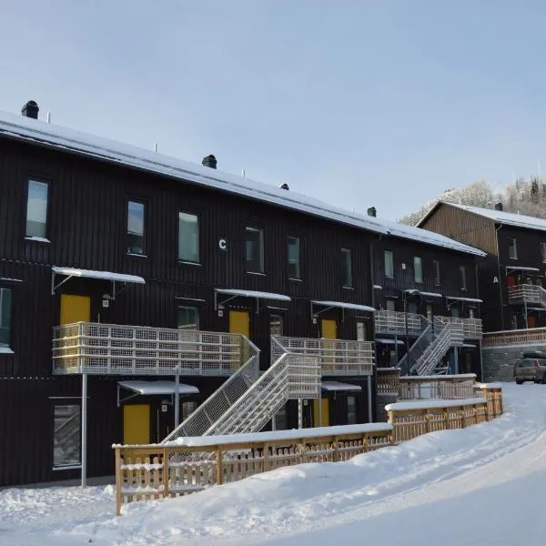 Ski Lodge Funäsdalen，位于塔恩达勒的酒店