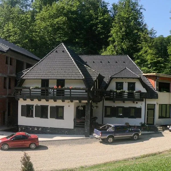 Băile Puturoasa，位于Medieşu Aurit的酒店