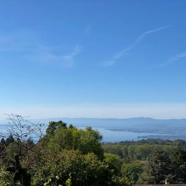 Petite maison à l'orée des bois vue magnifique sur le lac zenitude et plénitude，位于贝尔蒙叙尔洛桑的酒店