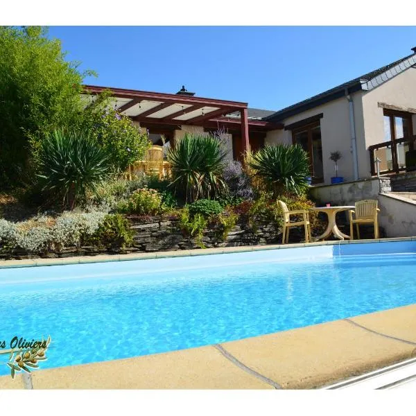 Le Mas des Oliviers，位于布永的酒店