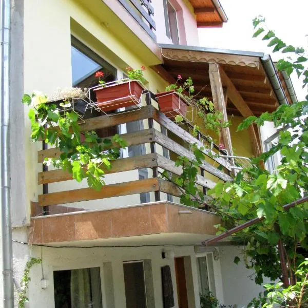 Guest House Familia，位于Samovodene的酒店