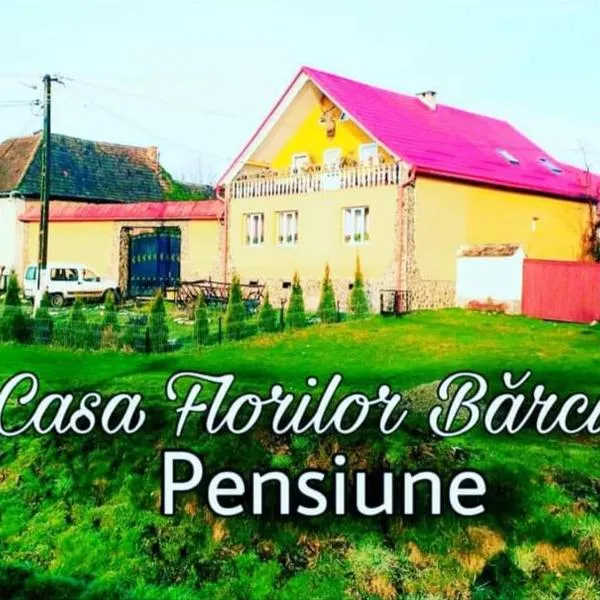 Casa Florilor Barcut，位于Retişu的酒店