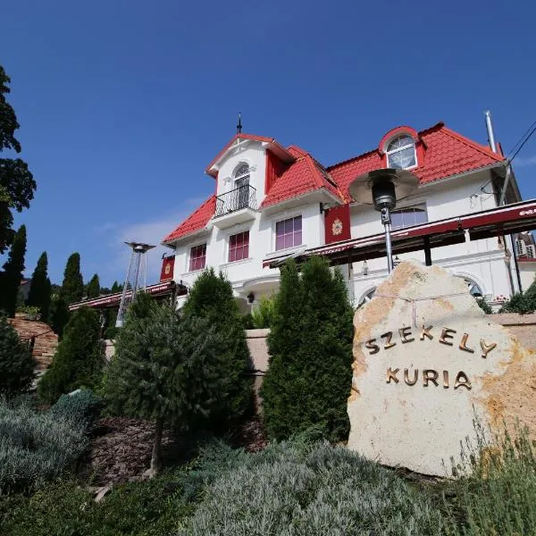Székely Kúria，位于米什科尔茨道波曹的酒店