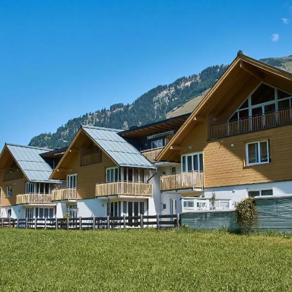 Mountain View Ski Apartment Rauris，位于劳里斯的酒店