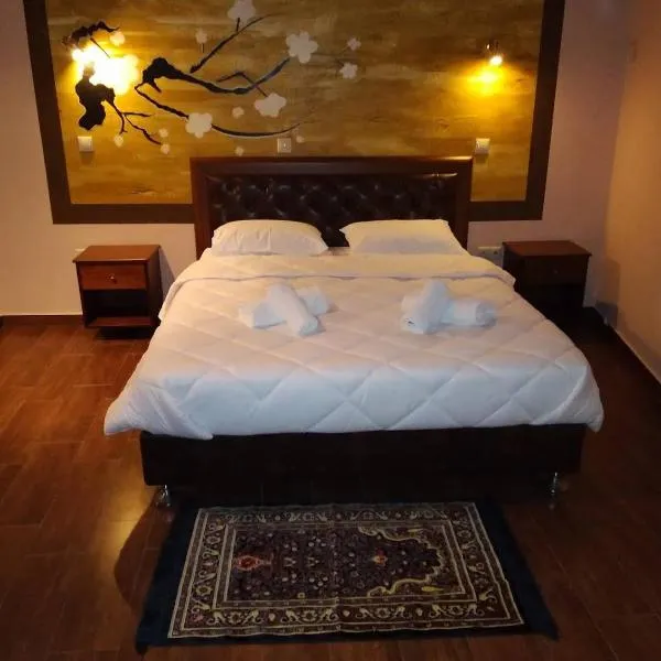 Ostrella Hotel - Luxury rooms，位于阿斯塔科斯的酒店