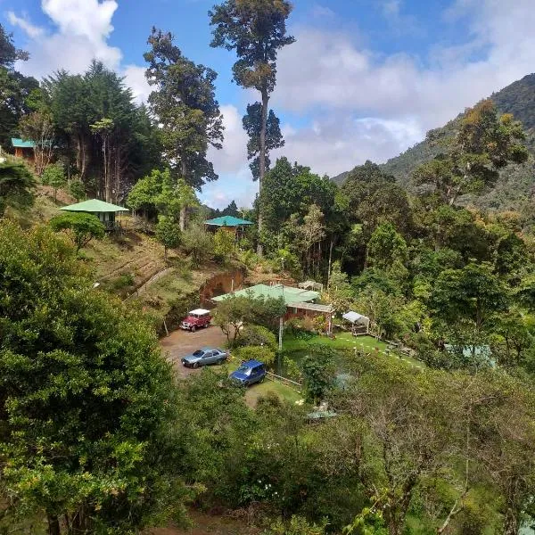 Las Cataratas Lodge，位于Providencia的酒店