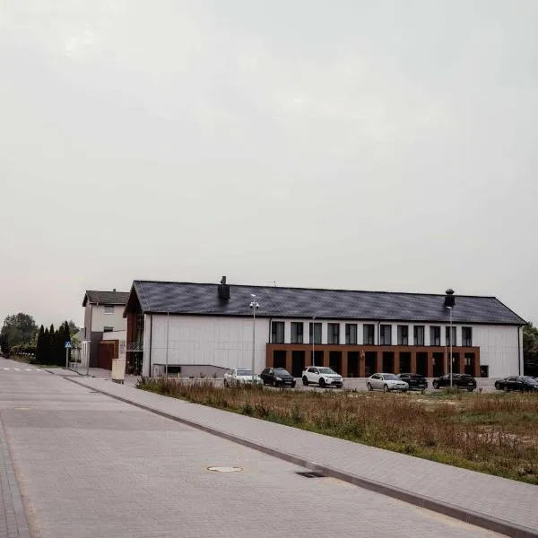 安吉酒店，位于普什奇科沃的酒店