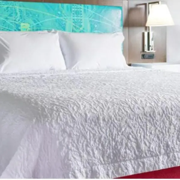 Hampton Inn Mcminnville, Tn，位于McMinnville的酒店