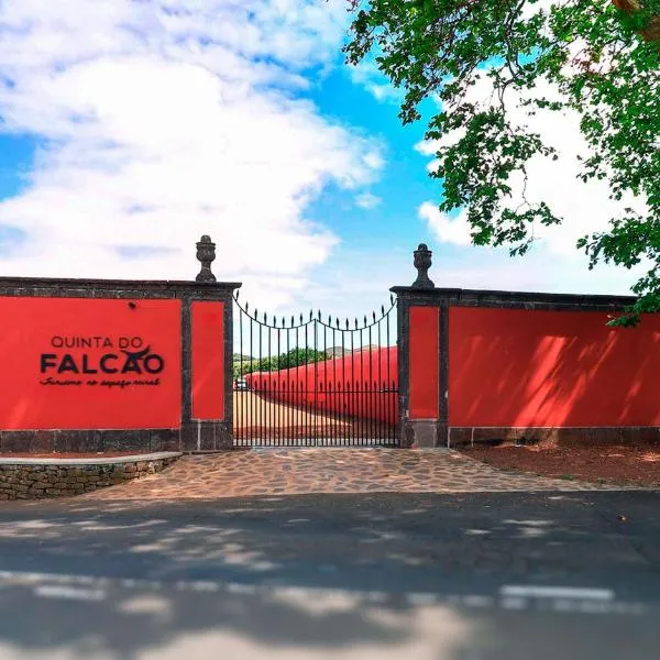 QUINTA DO FALCÃO，位于Chã de João Tomé的酒店