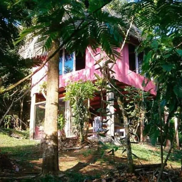 Vanilla Jungle Lodge - Rainforest Waterfall Garden，位于Hacienda Tres Amigos的酒店