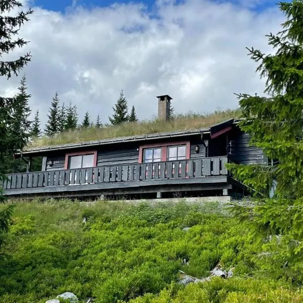 Centrally located cottage at Sjusjøen ski center，位于斯朱森的酒店