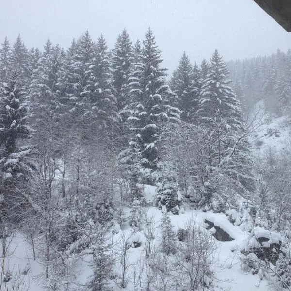 LA TANIA COURCHEVEL 73120，位于谷雪维尔的酒店