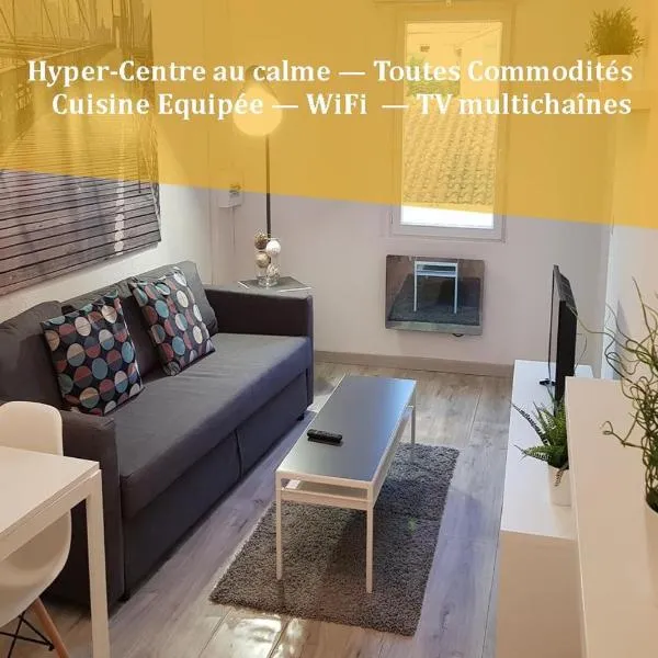 Appartement "Gabrielle" au calme en Hypercentre de Revel，位于Les Cammazes的酒店