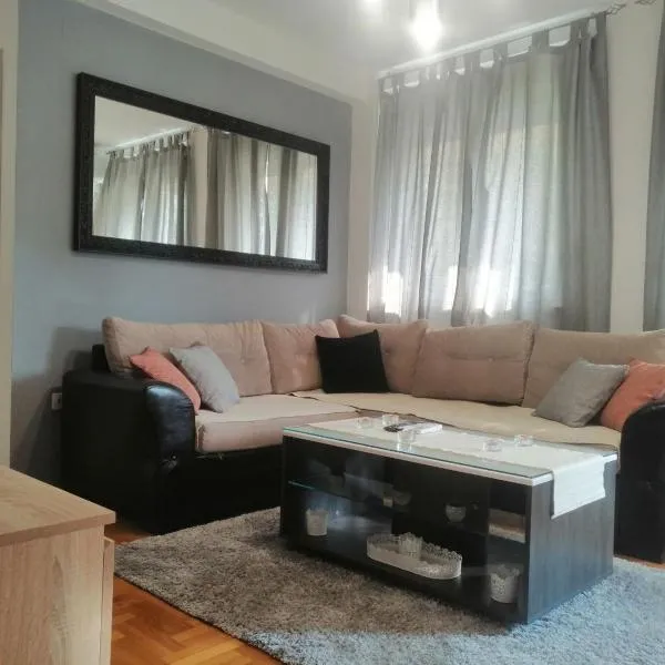 Apartman River，位于斯雷姆斯卡米特罗维察的酒店