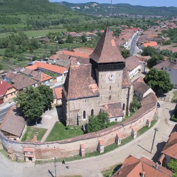 Medieval Apartments Frauendorf，位于Şeíca Mare的酒店