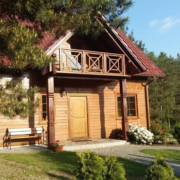 Kaszubskie Zacisze dom nad jeziorem, sauna, balia ogrodowa，位于Dziemiany的酒店