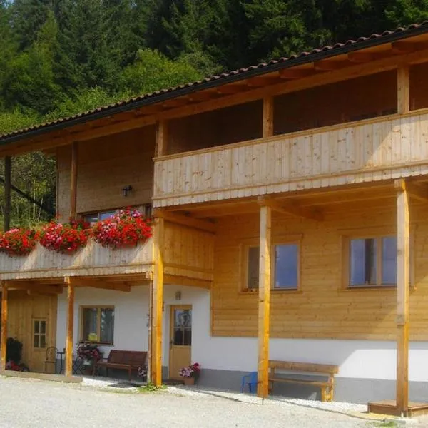 Semi-detached house, Zell am Ziller，位于齐勒河谷采尔的酒店