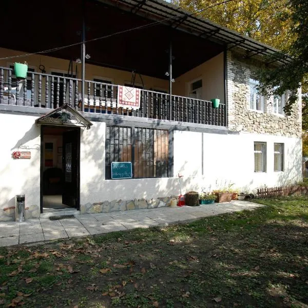 Guest House Iaraji，位于Sioni的酒店