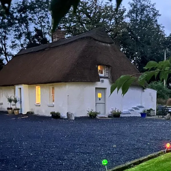 New Thatch Farm, knocklong, Limerick，位于Galbally的酒店