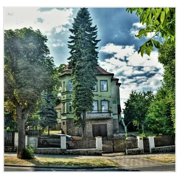 绿屋酒店，位于Duchcov的酒店