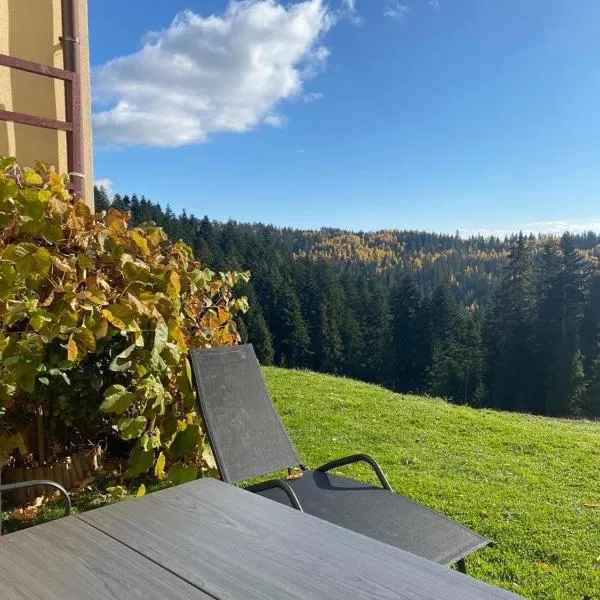 Apartament w górach Gorce，位于新塔尔格的酒店