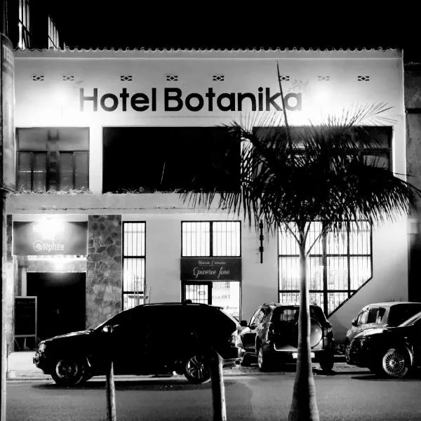 Botanika Hotel，位于Musaga的酒店