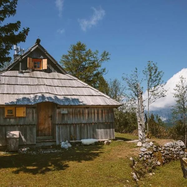 Chalet Orlica Velika Planina，位于Stahovica的酒店