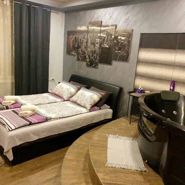 Ceca Apartman，位于尼什的酒店
