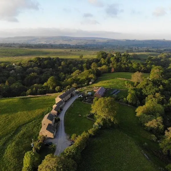 East Briscoe Farm Cottages，位于巴纳德城堡的酒店