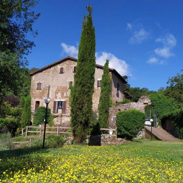 B&B IL Giardino del Borgo，位于Civitella Cesi的酒店