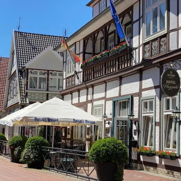 Hotel Hagspihl，位于Berge的酒店