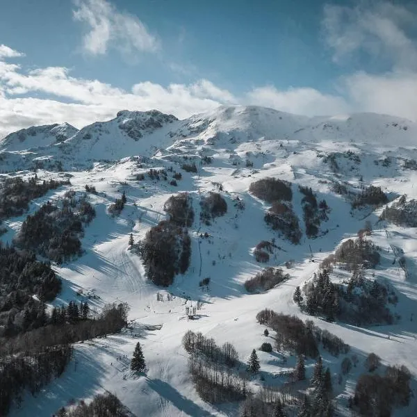 Appartement au pied des Pistes de Ski - Pyrénées (Ariège)，位于Vèbre的酒店