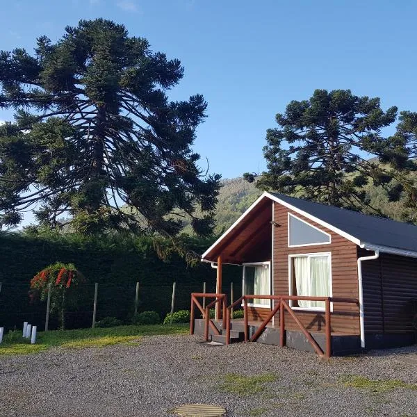 Cabañas Los Cipreses，位于Contulmo的酒店