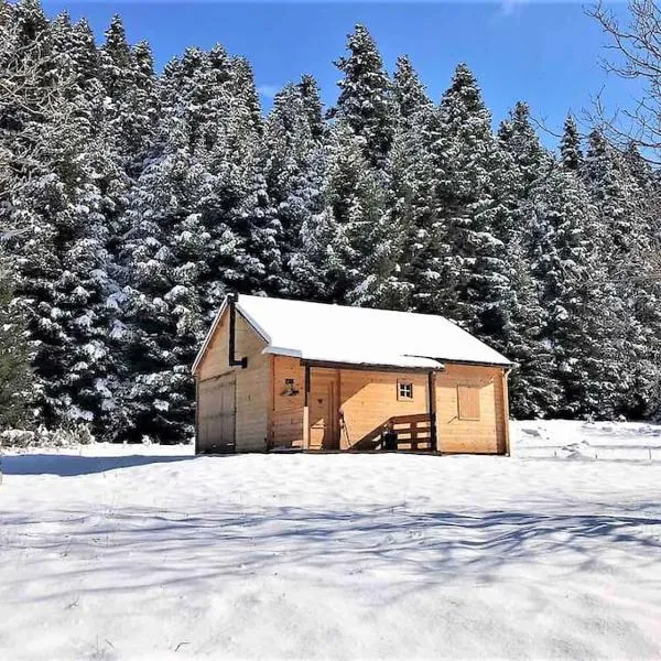 Wood Cabin by the River - for Nature Lovers，位于瓦尔特西尼科的酒店