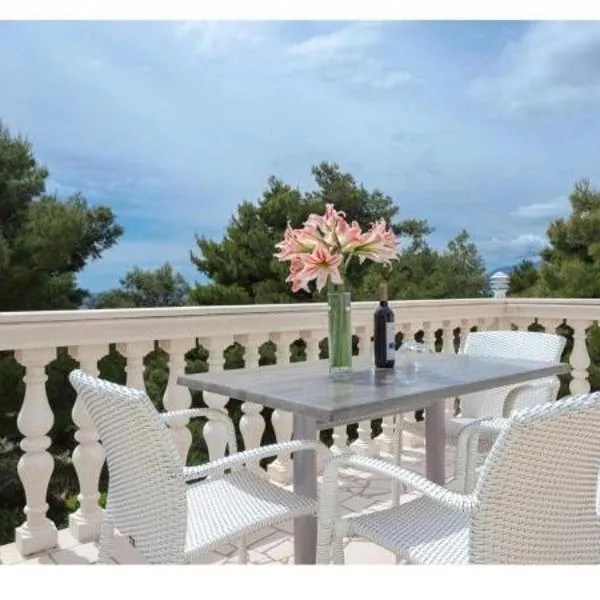 Apartments Villa Dingač，位于Gornji Dingač的酒店